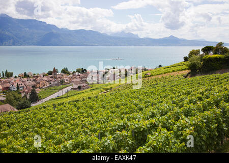 vineyards of lavaux and view of cully village, lausanne, switzerland, europe Stock Photo