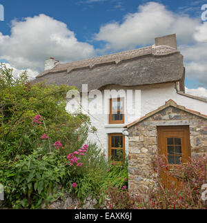 White painted cottage with thatched roof, small stone doorway & colourful flowering shrubs under blue sky at Port Eynon, Wales Stock Photo