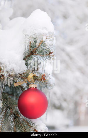 Red Christmas ornament hanging on snow covered spruce tree outside Stock Photo