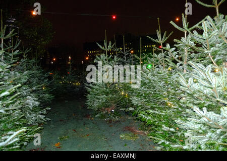 Vauxhall, London, UK. 21st Nov, 2014. An Icerink and Christmas tree maze have opened on Vauxhall Pleasure Gardens. They have taken over the local football pitch and park for the winter. It is part of the intensive business led gentrification of the area. Credit:  Rachel Megawhat/Alamy Live News Stock Photo