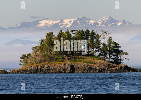 Small island in Johnstone Strait between Vancouver Island and the main land mountains with snow covered peaks Stock Photo