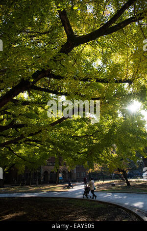 University of Tokyo,Bunkyo-ku,Tokyo,Japan Stock Photo