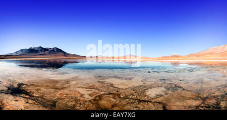 Laguna at the 'Ruta de las Joyas altoandinas' in Bolivia with pink flamingos fishing in the lake. Stock Photo