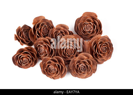 rose like seed pod against white background Stock Photo