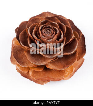 seed pod isolated against white background Stock Photo