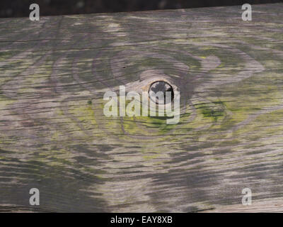 Old wood plank weathered, grungy and textured in gray and green, a bench to rest after a hike in the forests of Oslo Norway Stock Photo