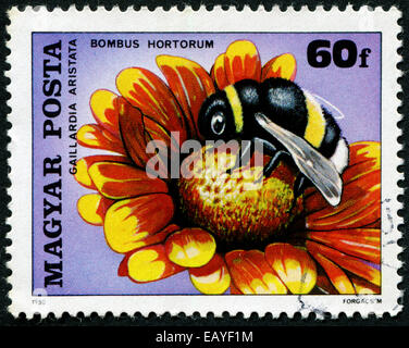 HUNGARY - CIRCA 1980: A stamp printed in Hungary shows a Achillea and bee, circa 1980 Stock Photo