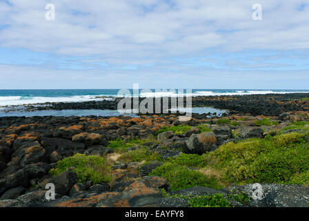 Robe Town,Great Ocean Rd,Seascapes,Canunada National Park,Empty Beaches, Green Seas,Sunshine,Inland Waterways,South Australia Stock Photo