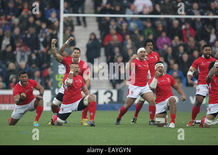 Edinburgh, Scotland. 22nd Nov, 2014. Autumn Internationals. Scotland versus Tonga. Tonga team members perform the Sipi Tau. Credit:  Action Plus Sports/Alamy Live News Stock Photo