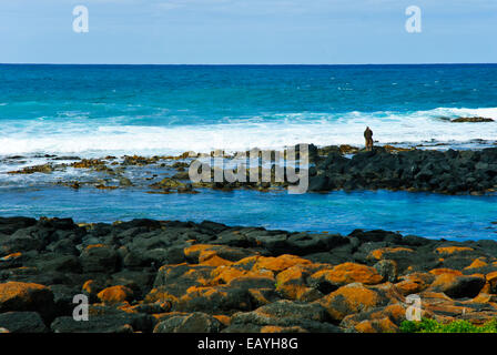 Robe Town,Great Ocean Rd,Seascapes,Canunada National Park,Empty Beaches, Green Seas,Sunshine,Inland Waterways,South Australia Stock Photo