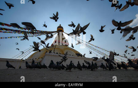 Flying pigeons at the Boudhanath Stupa, Kathmandu, Nepal Stock Photo