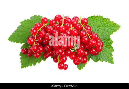 Red currants and green leaves isolated on white background Stock Photo