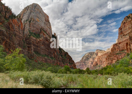 Great White Throne, Zion Canyon, Zion National Park, Utah Stock Photo