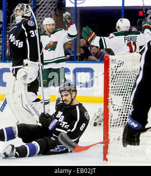 Nov. 22, 2014 - Tampa, Florida, U.S. - DIRK SHADD | Times .Tampa Bay Lightning goalie Ben Bishop (30) looks on as defenseman Mark Barberio (8) remains down with Minnesota Wild Minnesota Wild left wing Thomas Vanek (26) (center) and Wild left wing Zach Parise (11) (right) celebrating Parise's goal, the first of the game, during second period action at the Amalie Arena in Tampa Saturday evening (11/22/14) (Credit Image: © Dirk Shadd/Tampa Bay Times/ZUMA Wire) Stock Photo