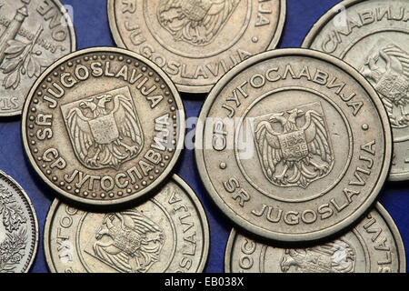 Coins of Yugoslavia. Yugoslav national coats of arms depicted on the Yugoslav novi dinar coins (2002). Stock Photo