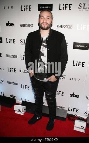 Las Vegas, NV, USA. 22nd Nov, 2014. Steve Angello at arrivals for Steve Angello Debuts REFLECTIONS Immersive Nightlife Concept at LiFE Nightclub, SLS Hotel Las Vegas, Las Vegas, NV November 22, 2014. Credit:  James Atoa/Everett Collection/Alamy Live News Stock Photo