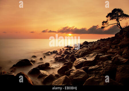 Seascape image of a beautiful golden sunrise with rocks on the beach and silhouetted bonsai tree at Amed in Bali. Colorful coastal sunrise photo Stock Photo