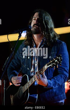 Dave Grohl of the Foo Fighters performs during the Concert for Valor November 11, 2014 in Washington, D.C. Stock Photo