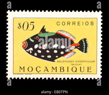 Postage stamp from Mozambique depicting a Clown triggerfish (Balistoides conspicillum) Stock Photo
