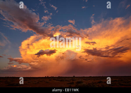 Remnants of late afternoon thunderstorm over grazing country to the North East of Mildura Stock Photo