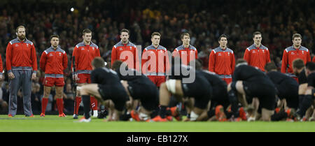 Cardiff, UK. 22nd Nov, 2014. The Welsh team face the Haka - Autumn Test Series - Wales vs New Zealand - Millennium Stadium - Cardiff - Wales - 22nd November 2014 - Picture Simon Bellis/Sportimage. © csm/Alamy Live News Stock Photo