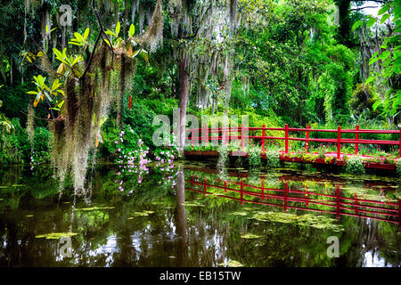 View of a Little Red Footbridge  Over a Pond, Magnolia Plantation, Charleston, South Carolina Stock Photo
