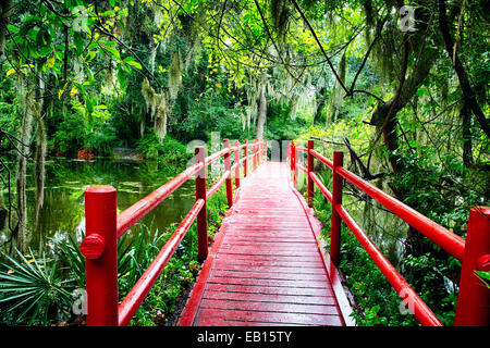 Little Red Footbridge  Over a Pond, Magnolia Plantation, Charleston, South Carolina Stock Photo