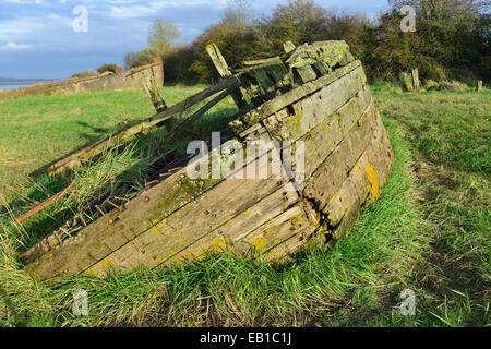 Remains of the Severn Collier, built in Stourport 1937, and beached at Purton in 1965 to help prevent the River Severn erroding Stock Photo