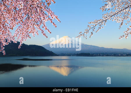 Mount Fuji with Cherry Blossom, view from Lake Kawaguchiko, Japan Stock Photo