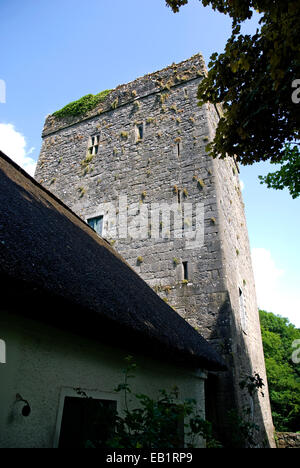 THOOR BALLYLEE, BALLYLEE CASTLE, NORMAN TOWER HOUSE, HOME OF POET, DRAMATIST AND NOBEL PRIZE WINNER OF LITERATURE, W.B.YEATS 1921-1929,  GORT, CO GALWAY, IRELAND Stock Photo