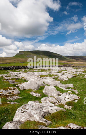 Limestone outcrop with Penyghent in the background, on a summers day. Yorkshire, UK Stock Photo