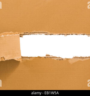 Torn cardboard sheet with place for text. Stock Photo