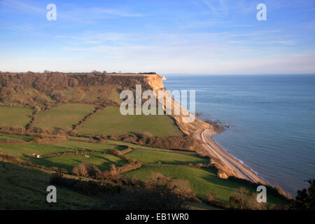 Sidmouth. View from the South West Coastal path on Salcombe Hill cliff above Sidmouth, East Devon, looking down to Salcombe Regis bay Stock Photo