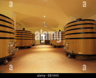 Chianti Classico wine aging in cellar at Colle Bereto winery, Radda in Chianti, Italy. Stock Photo