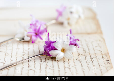 Pink and white hyacinths in vintage spoons on old faded handwritten letter Stock Photo