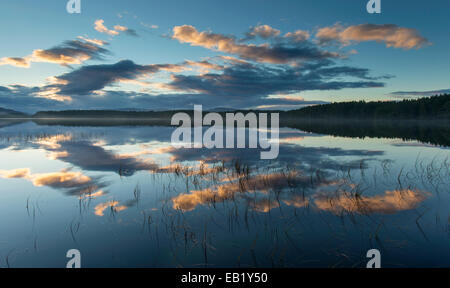 Loch Garten at sunset, Abernethy Forest, Caringorms National Park, Scotland Stock Photo