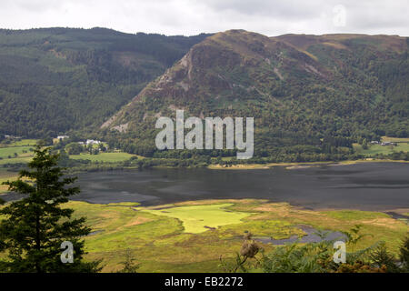 View over Cumbrian Valley from birdwatching station Stock Photo