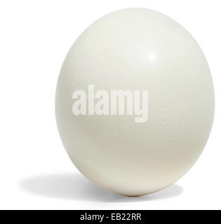 ostrich egg Stock Photo