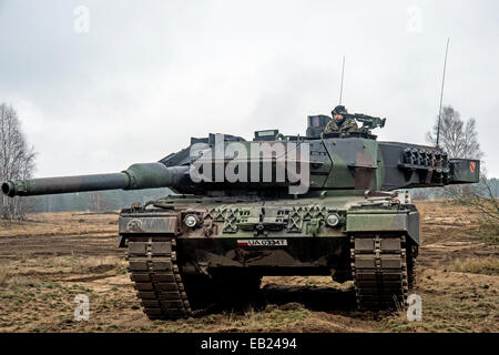 Polans 10th arnoured cavalry brigade on Exercise black Eagle with there  leopard 2A4 Tanks on the zagan Training area. Poland Stock Photo - Alamy