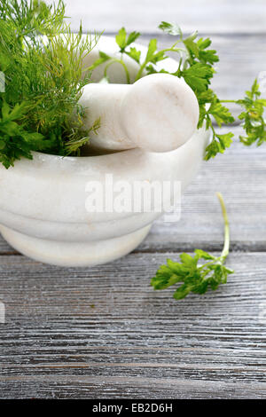 Greens herbs in a white Mortar, closeup Stock Photo