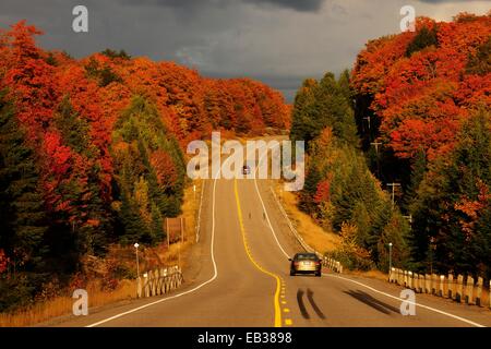 Road through the colourful autumnal Canadian forest, Algonquin Provincial Park, Ontario Province, Canada Stock Photo