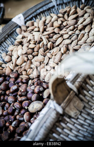 Close-Up of freshly picked  hazelnuts and almonds, Corsica, France Stock Photo
