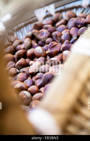 Close-Up of freshly picked  hazelnuts, Corsica, France Stock Photo