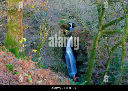 Aira Force, near Ullswater, Lake District National Park, Cumbria, England UK Stock Photo