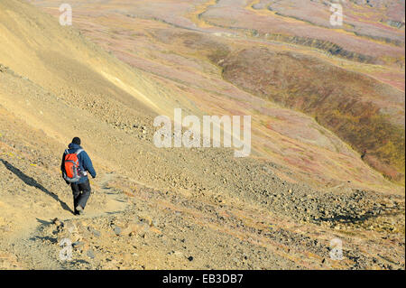 USA, Alaska, Denali National Park, Male hiker on trail Stock Photo