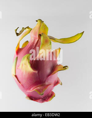 Dragon fruit, or pitahaya, a tropical fruit of the genus Hylocereus Stock Photo