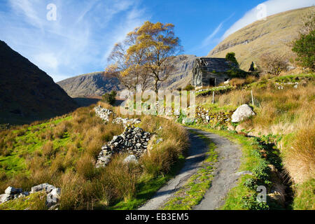 Ruined cottage beneath the MacGillycuddys Reeks mountain in the Black Valley, County Kerry, Ireland. Stock Photo
