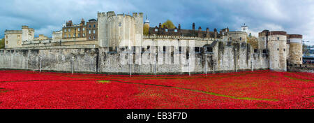 Blood Swept Lands and Seas of Red art installation at the Tower of London. 888,246 ceramic poppies planted in the Tower's moat. Stock Photo