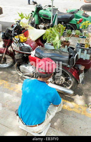 MATANZAS, CUBA - MAY 10, 2014: Lively street market of flowers and plants the day before Mother's Day. Mother's Day is celebrate Stock Photo