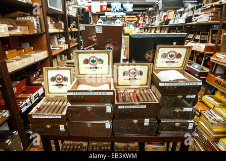 Cigars in humidor, The Cigar House, Old San Juan, Puerto Rico Stock Photo